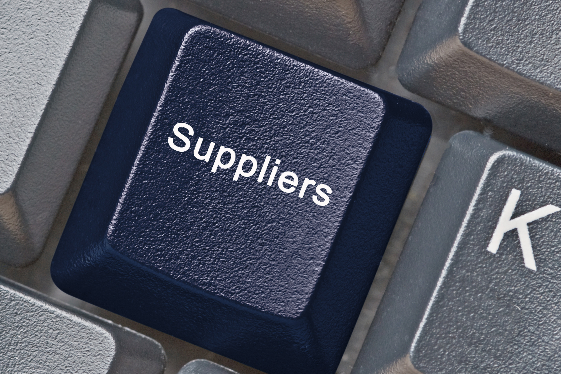 Level Requstes Essential Eight Requirements for Suppliers | Evolution Systems